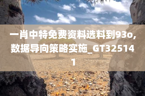 一肖中特免费资料选料到93o,数据导向策略实施_GT325141