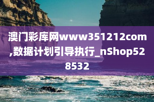 澳门彩库网www351212com,数据计划引导执行_nShop528532