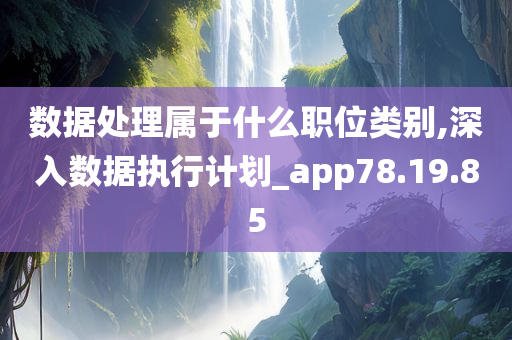 数据处理属于什么职位类别,深入数据执行计划_app78.19.85