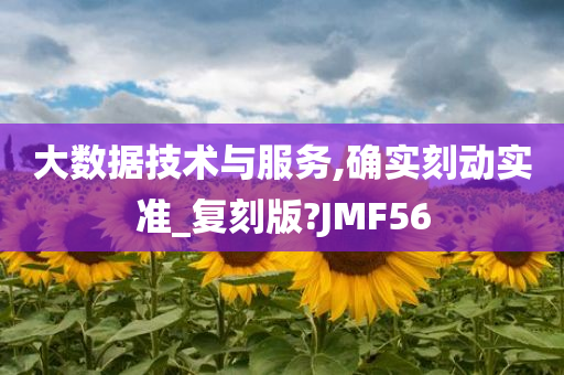 大数据技术与服务,确实刻动实准_复刻版?JMF56