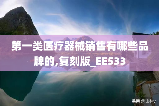 第一类医疗器械销售有哪些品牌的,复刻版_EE533