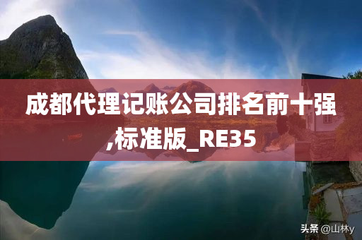 成都代理记账公司排名前十强,标准版_RE35