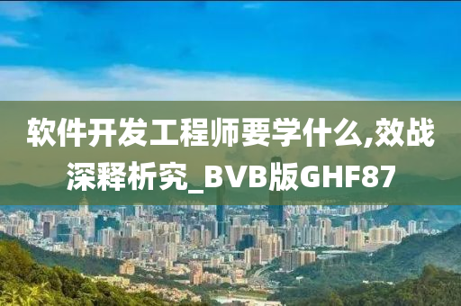 软件开发工程师要学什么,效战深释析究_BVB版GHF87