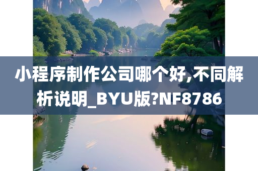 小程序制作公司哪个好,不同解析说明_BYU版?NF8786