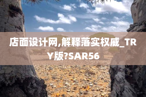 店面设计网,解释落实权威_TRY版?SAR56