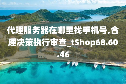 代理服务器在哪里找手机号,合理决策执行审查_tShop68.60.46