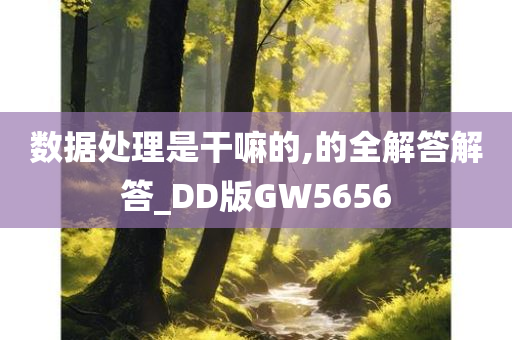 数据处理是干嘛的,的全解答解答_DD版GW5656