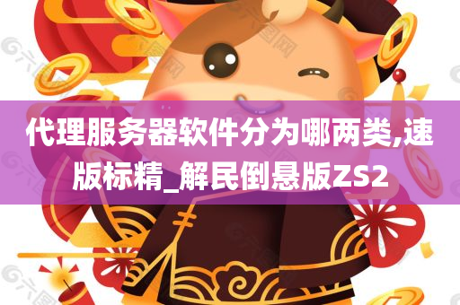 代理服务器软件分为哪两类,速版标精_解民倒悬版ZS2