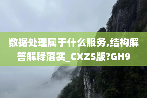 数据处理属于什么服务,结构解答解释落实_CXZS版?GH9