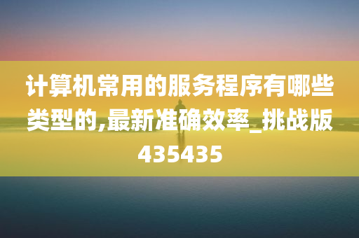 计算机常用的服务程序有哪些类型的,最新准确效率_挑战版435435