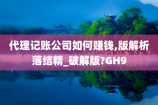 代理记账公司如何赚钱,版解析落结精_破解版?GH9