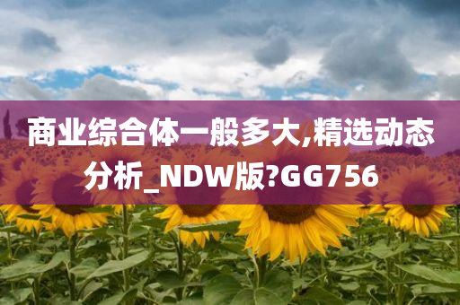 商业综合体一般多大,精选动态分析_NDW版?GG756