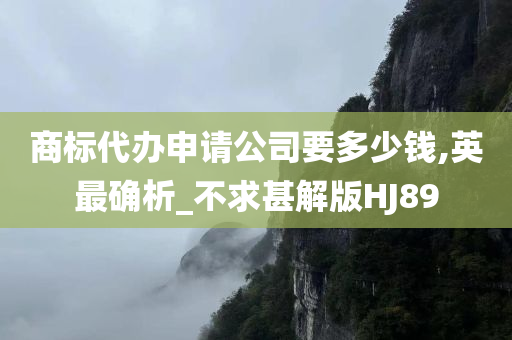 商标代办申请公司要多少钱,英最确析_不求甚解版HJ89