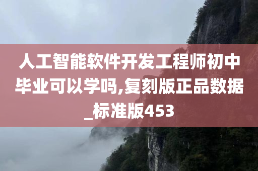 人工智能软件开发工程师初中毕业可以学吗,复刻版正品数据_标准版453