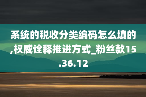 系统的税收分类编码怎么填的,权威诠释推进方式_粉丝款15.36.12