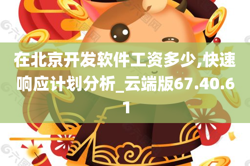 在北京开发软件工资多少,快速响应计划分析_云端版67.40.61