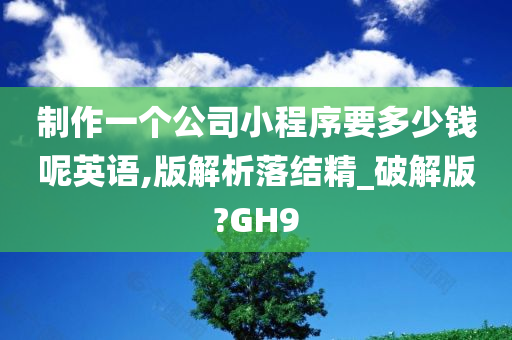 制作一个公司小程序要多少钱呢英语,版解析落结精_破解版?GH9