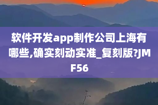 软件开发app制作公司上海有哪些,确实刻动实准_复刻版?JMF56