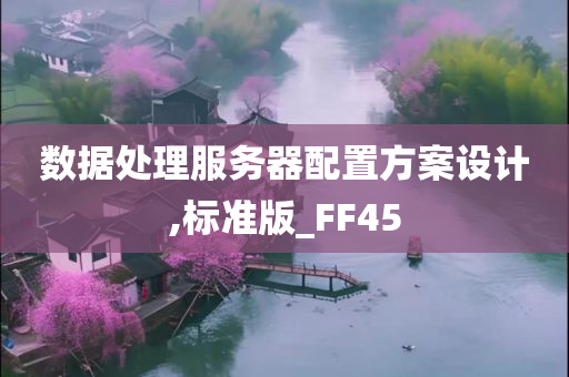 数据处理服务器配置方案设计,标准版_FF45