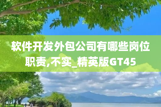 软件开发外包公司有哪些岗位职责,不实_精英版GT45