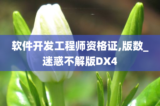 软件开发工程师资格证,版数_迷惑不解版DX4