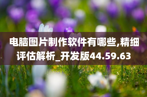 电脑图片制作软件有哪些,精细评估解析_开发版44.59.63