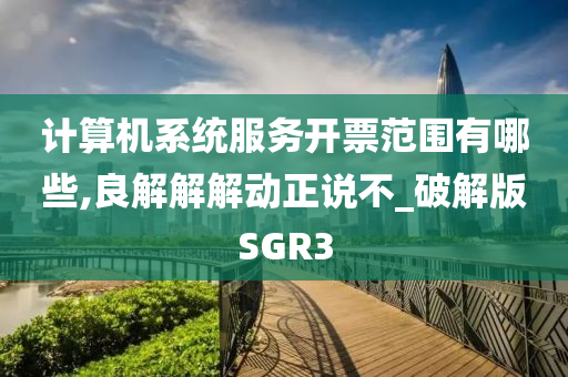 计算机系统服务开票范围有哪些,良解解解动正说不_破解版SGR3