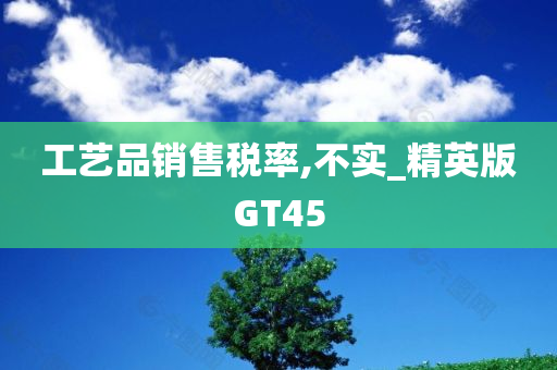 GT45 第6页