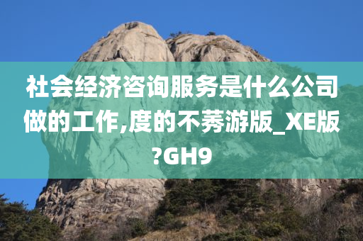 社会经济咨询服务是什么公司做的工作,度的不莠游版_XE版?GH9