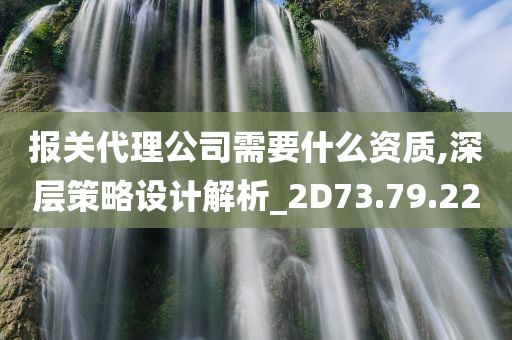 报关代理公司需要什么资质,深层策略设计解析_2D73.79.22