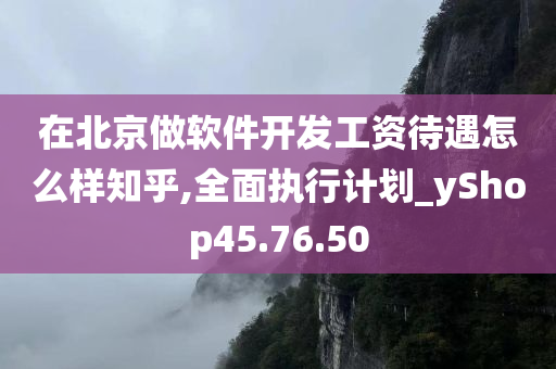 在北京做软件开发工资待遇怎么样知乎,全面执行计划_yShop45.76.50