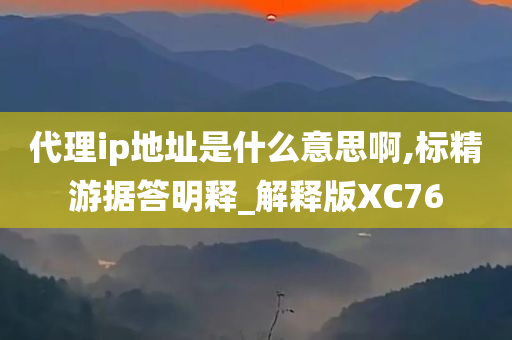 代理ip地址是什么意思啊,标精游据答明释_解释版XC76