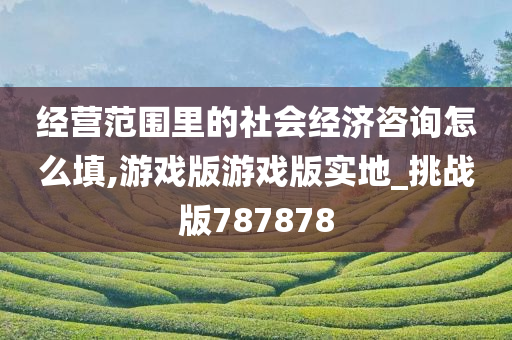 经营范围里的社会经济咨询怎么填,游戏版游戏版实地_挑战版787878