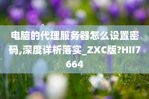 电脑的代理服务器怎么设置密码,深度详析落实_ZXC版?HII7664