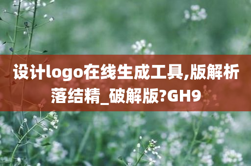 设计logo在线生成工具,版解析落结精_破解版?GH9