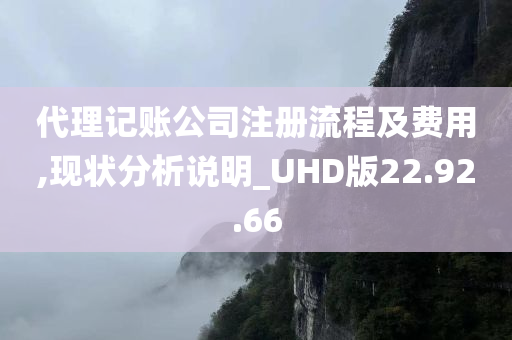 代理记账公司注册流程及费用,现状分析说明_UHD版22.92.66