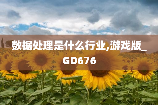 数据处理是什么行业,游戏版_GD676