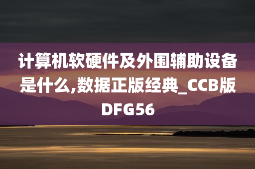 计算机软硬件及外围辅助设备是什么,数据正版经典_CCB版DFG56