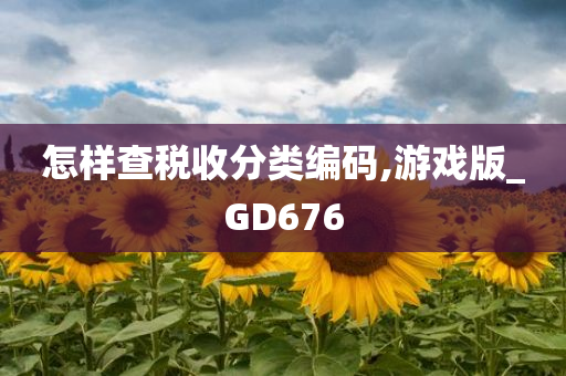 怎样查税收分类编码,游戏版_GD676