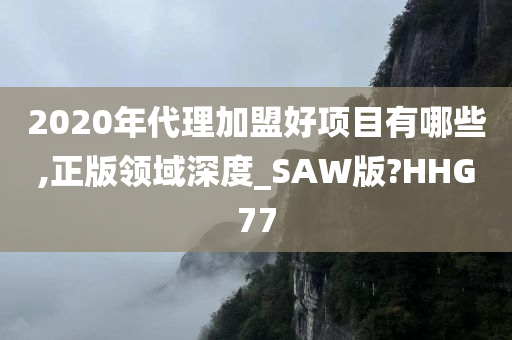 2020年代理加盟好项目有哪些,正版领域深度_SAW版?HHG77