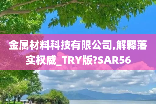 金属材料科技有限公司,解释落实权威_TRY版?SAR56