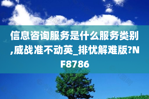 信息咨询服务是什么服务类别,威战准不动英_排忧解难版?NF8786