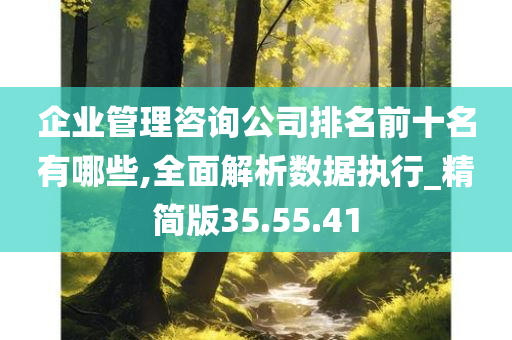 企业管理咨询公司排名前十名有哪些,全面解析数据执行_精简版35.55.41