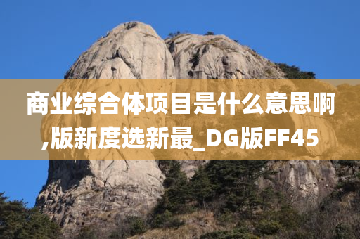 商业综合体项目是什么意思啊,版新度选新最_DG版FF45