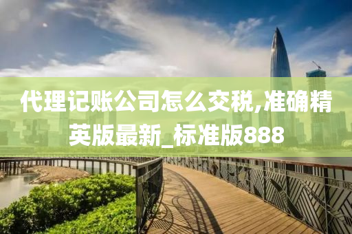 代理记账公司怎么交税,准确精英版最新_标准版888