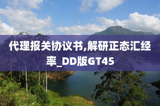 代理报关协议书,解研正态汇经率_DD版GT45