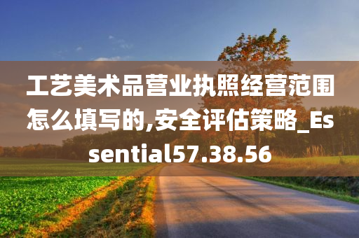 工艺美术品营业执照经营范围怎么填写的,安全评估策略_Essential57.38.56