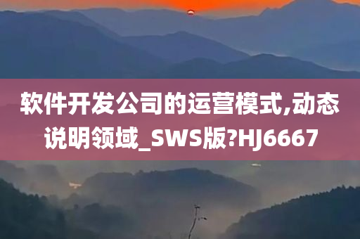 软件开发公司的运营模式,动态说明领域_SWS版?HJ6667