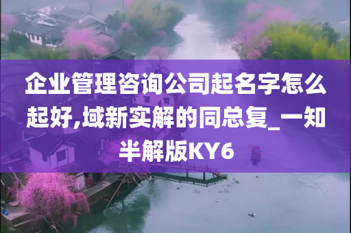 企业管理咨询公司起名字怎么起好,域新实解的同总复_一知半解版KY6