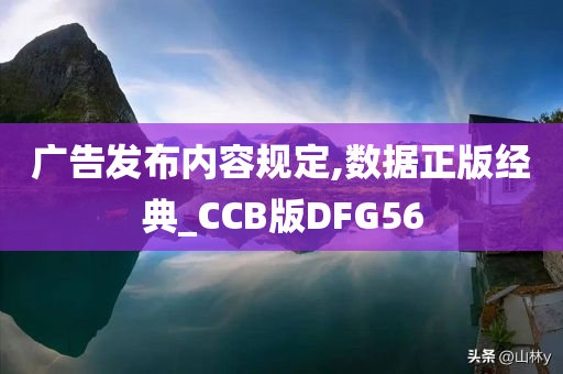 广告发布内容规定,数据正版经典_CCB版DFG56